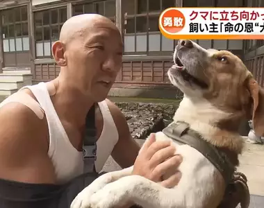 《救命恩犬》日本肌肉住持遇到熊 多虧勇敢的愛犬相助才撿回一命