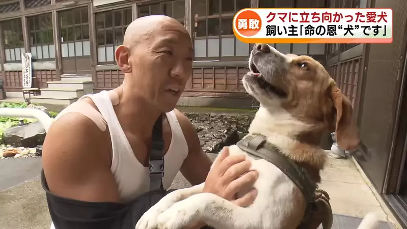 《救命恩犬》日本肌肉住持遇到熊 多虧勇敢的愛犬相助才撿回一命 《救命恩犬》日本肌肉住持遇到熊 多虧勇敢的愛犬相助才撿回一命