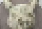 《殭屍皮卡丘》這款皮卡丘烤模好可愛 日本網友買來用卻得到驚悚結果