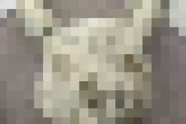 《殭屍皮卡丘》這款皮卡丘烤模好可愛 日本網友買來用卻得到驚悚結果 《殭屍皮卡丘》這款皮卡丘烤模好可愛 日本網友買來用卻得到驚悚結果