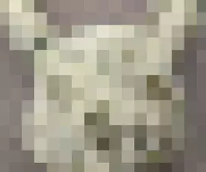 《殭屍皮卡丘》這款皮卡丘烤模好可愛 日本網友買來用卻得到驚悚結果