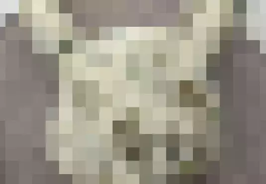 《殭屍皮卡丘》這款皮卡丘烤模好可愛 日本網友買來用卻得到驚悚結果