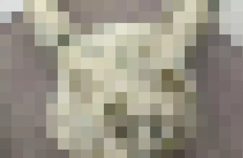 《殭屍皮卡丘》這款皮卡丘烤模好可愛 日本網友買來用卻得到驚悚結果 《殭屍皮卡丘》這款皮卡丘烤模好可愛 日本網友買來用卻得到驚悚結果
