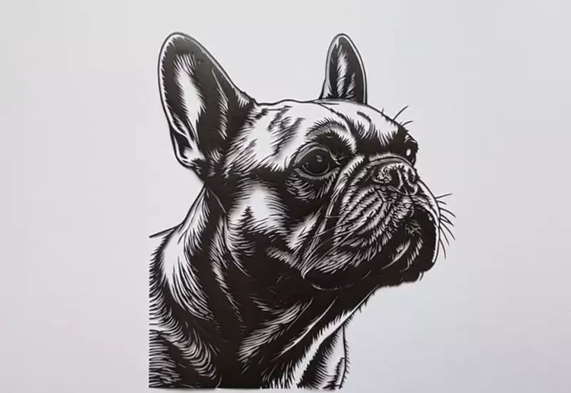 需將近數十小時才能完成的汪汪作品 看過一眼既印象深刻的紙雕藝術