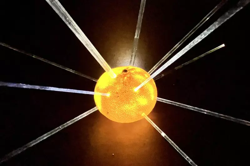 ARuFa流《空橘子皮做出的自爆效果》沒開玩笑真心覺得頗有爆炸的感覺