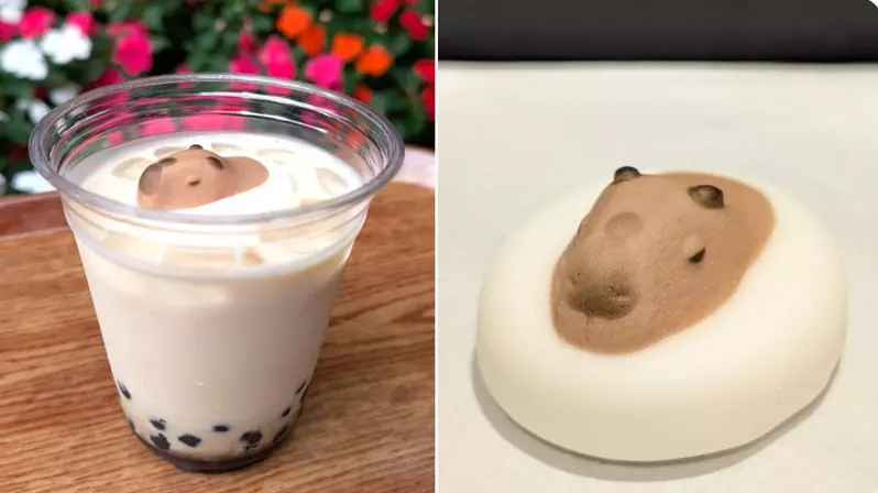 井之頭自然文化園推出《水豚棉花黑糖珍奶》又甜又好喝而且還模仿了水豚游泳的模樣