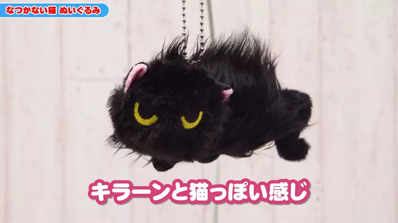 扭蛋商品《氣噗噗炸毛貓》明明給人很不友善的感覺但還是覺得超可愛❤