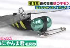 《驅蟲神器大蜻蜓》爆賣200萬個的神奇發明 其實連廠商都不確定原理是什麼？