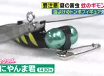 《驅蟲神器大蜻蜓》爆賣200萬個的神奇發明 其實連廠商都不確定原理是什麼？