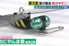《驅蟲神器大蜻蜓》爆賣200萬個的神奇發明 其實連廠商都不確定原理是什麼? 《驅蟲神器大蜻蜓》爆賣200萬個的神奇發明 其實連廠商都不確定原理是什麼?