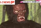《希巴貢》曾經現身日本廣島的神祕生物 時隔半世紀再度請牠幫忙拚觀光