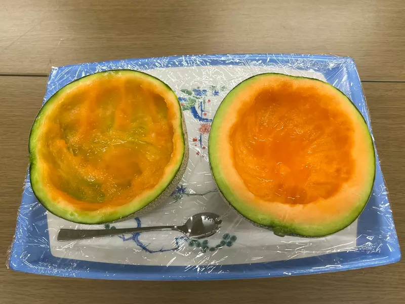 《從哈密瓜吃法看家庭環境》搞笑藝人吐槽搭檔吃不乾淨 卻被說兩個人的吃法都很糟糕？