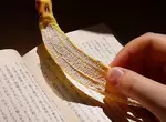 元祖食品樣品店推出《食物造型書籤》這是故意出來讓你無法專心閱讀的小物嗎(誤)
