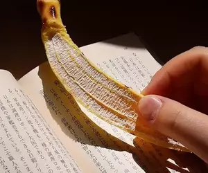 元祖食品樣品店推出《食物造型書籤》這是故意出來讓你無法專心閱讀的小物嗎(誤)