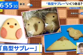 《鳥型餅乾大圖鑑》世界各地都有類似的食物?他目前整理了超過3000種 《鳥型餅乾大圖鑑》世界各地都有類似的食物?他目前整理了超過3000種