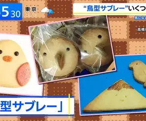 《鳥型餅乾大圖鑑》世界各地都有類似的食物？他目前整理了超過3000種