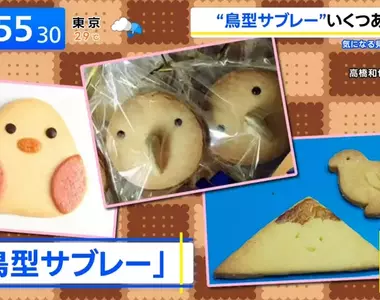 《鳥型餅乾大圖鑑》世界各地都有類似的食物?他目前整理了超過3000種