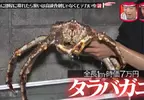 《活螃蟹整人》家中冒出一隻７萬的北海道帝王蟹 不會開心反而會嚇死？