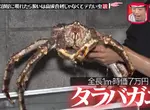 《活螃蟹整人》家中冒出一隻７萬的北海道帝王蟹 不會開心反而會嚇死？