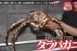 《活螃蟹整人》家中冒出一隻7萬的北海道帝王蟹 不會開心反而會嚇死? 《活螃蟹整人》家中冒出一隻7萬的北海道帝王蟹 不會開心反而會嚇死?