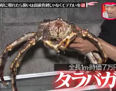 《活螃蟹整人》家中冒出一隻7萬的北海道帝王蟹 不會開心反而會嚇死?