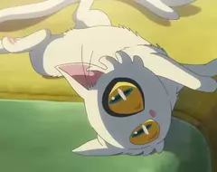 《日本小學生做研究》貓咪有沒有慣用手？實驗200次的毅力獲得網友讚賞