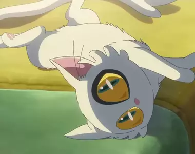 《日本小學生做研究》貓咪有沒有慣用手？實驗200次的毅力獲得網友讚賞