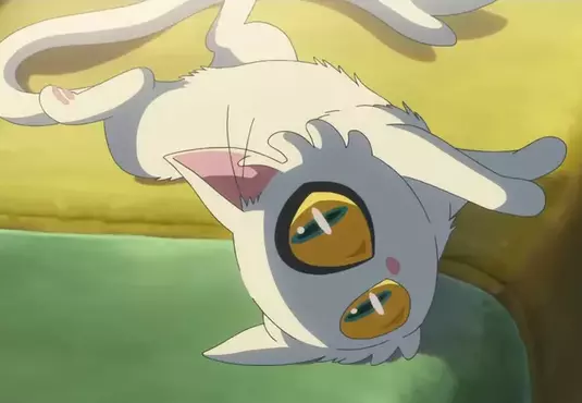 《日本小學生做研究》貓咪有沒有慣用手？實驗200次的毅力獲得網友讚賞