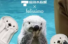 鳥羽水族館 與 Felissimo 合作推出 人氣海獺「Mei」、「Kira」可愛周邊商品