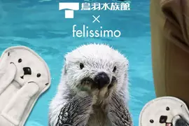鳥羽水族館 與 Felissimo 合作推出 人氣海獺「Mei」、「Kira」可愛周邊商品 鳥羽水族館 與 Felissimo 合作推出 人氣海獺「Mei」、「Kira」可愛周邊商品