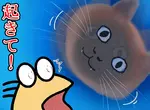 《貓咪戴上頭套的結果》飼主每天早上都被牠嚇醒 連作夢都會夢到牠的臉