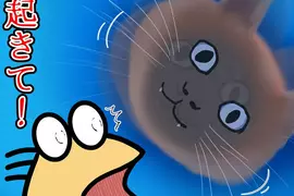 《貓咪戴上頭套的結果》飼主每天早上都被牠嚇醒 連作夢都會夢到牠的臉 《貓咪戴上頭套的結果》飼主每天早上都被牠嚇醒 連作夢都會夢到牠的臉