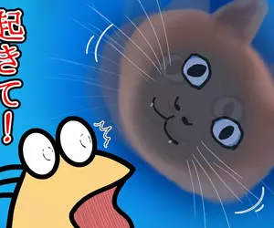 《貓咪戴上頭套的結果》飼主每天早上都被牠嚇醒 連作夢都會夢到牠的臉