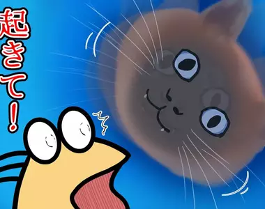 《貓咪戴上頭套的結果》飼主每天早上都被牠嚇醒 連作夢都會夢到牠的臉