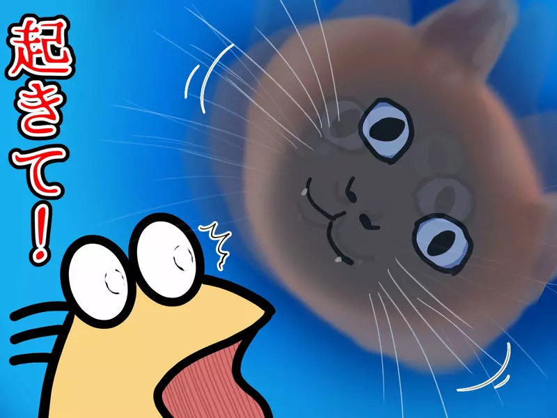 《貓咪戴上頭套的結果》飼主每天早上都被牠嚇醒 連作夢都會夢到牠的臉