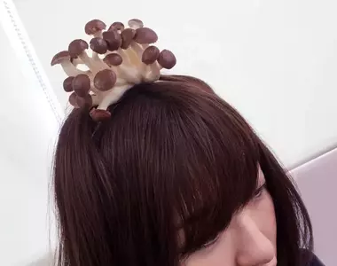 《食物模型的破壞力》由於做得太像往往惡作劇一下造成的衝擊就會十分強烈