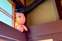  裝冷氣師傅交代要填補管道縫隙 網友try了一下表示不知道這樣行不行？