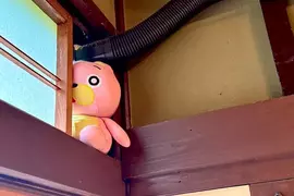 裝冷氣師傅交代要填補管道縫隙 網友try了一下表示不知道這樣行不行? 裝冷氣師傅交代要填補管道縫隙 網友try了一下表示不知道這樣行不行?
