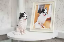 日本PIN STUDIO宣布8月開始提供《OMOIDE 3D》提供寵物照片就可以製作出精緻的3D模型