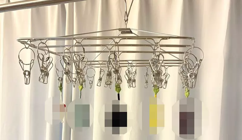 把洗完澡的皮克敏吊在房間裡陰乾 超有趣的畫面引起網友的注意與歡迎