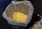 《電影院的爆米花》看完電影還剩下半桶怎麼辦？日本網友爭論要丟還是要帶回家