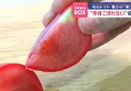 《切番茄小技巧》汁液亂噴弄髒砧板很麻煩？專家教你應該這樣切