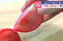 《切番茄小技巧》汁液亂噴弄髒砧板很麻煩？專家教你應該這樣切