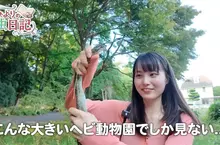 日本昆蟲系美少女YouTuber《ひよりの虫日記》徒手抓蛇都不怕這感覺有點強