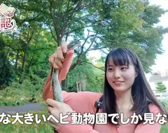 日本昆蟲系美少女YouTuber《ひよりの虫日記》徒手抓蛇都不怕這感覺有點強