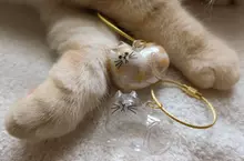 如何正確的製作寵物毛收納扭蛋 網友分享DIY步驟讓大家輕鬆上手