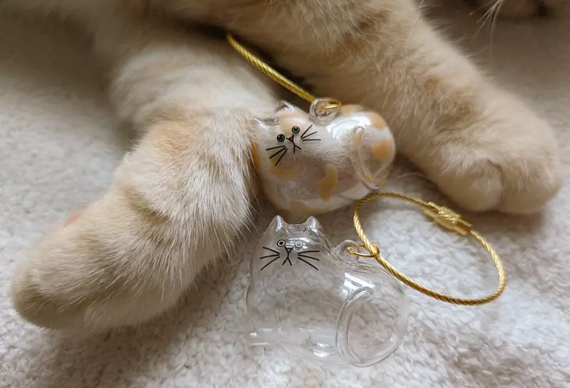 如何正確的製作寵物毛收納扭蛋 網友分享DIY步驟讓大家輕鬆上手