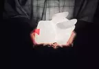 卡普空推出《奇怪龍造型小夜燈》是我內心汙濁總覺得這東西長得像飛機杯嗎？