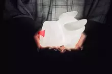 卡普空推出《奇怪龍造型小夜燈》是我內心汙濁總覺得這東西長得像飛機杯嗎？