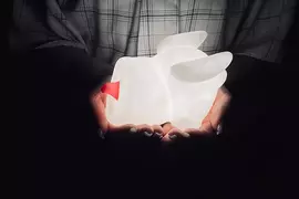 卡普空推出《奇怪龍造型小夜燈》是我內心汙濁總覺得這東西長得像飛機杯嗎? 卡普空推出《奇怪龍造型小夜燈》是我內心汙濁總覺得這東西長得像飛機杯嗎?